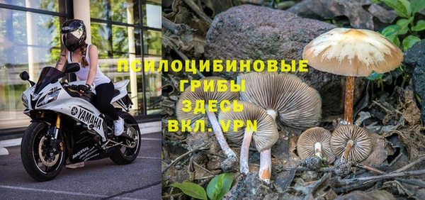 тгк Абинск