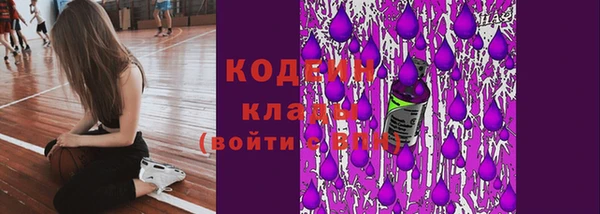 прущие крисы Абаза